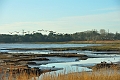 16 01 16_0614_edited-1